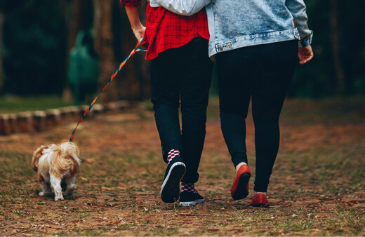 Walking together with a small dog on a leash in a park, emphasizing the shared enjoyment and physical benefits of daily dog walks
