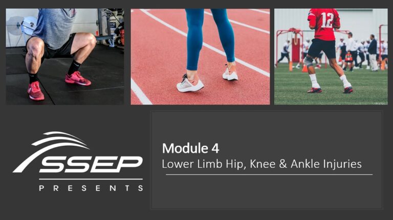 Lower Limb Musculoskeletal Rehabilitation: Module 4 Injuries to the Hip/Knee/Ankle